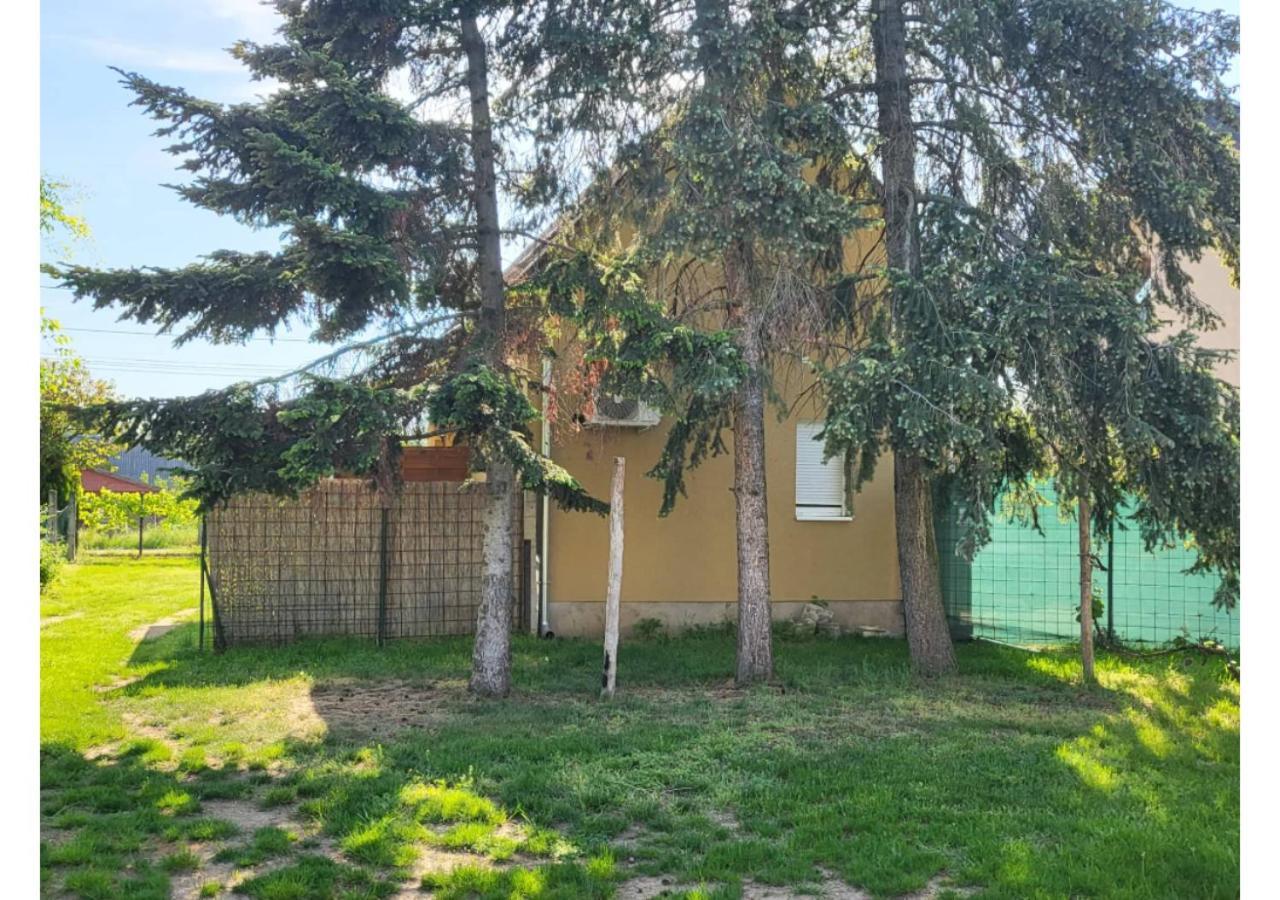 Апартаменти Forras Vendeghaz Тата Екстер'єр фото
